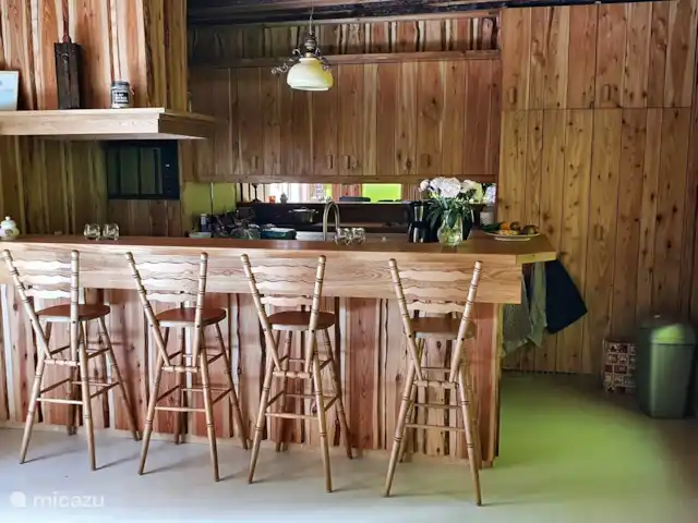 Acuadomo en Países Bajos, Güeldres, Zelhem - casa vacacional cocina