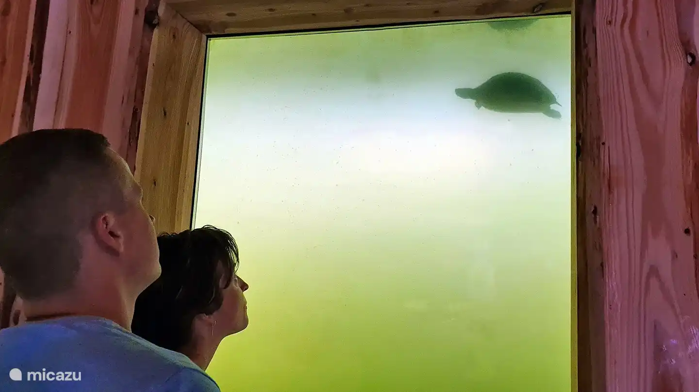 experiencia submarina