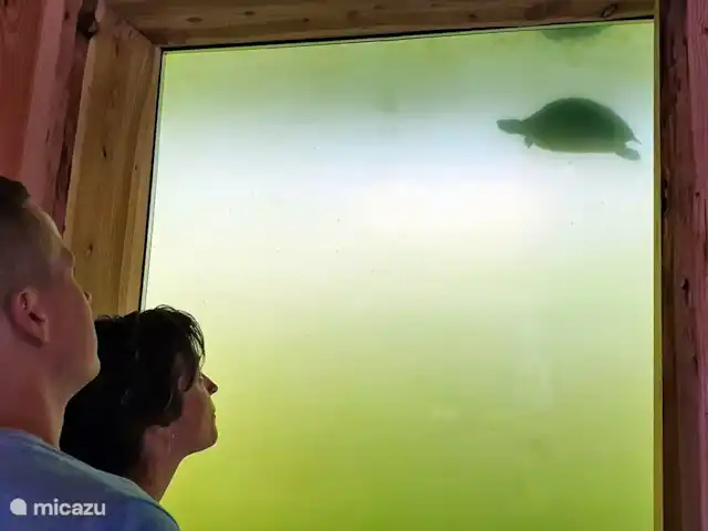 Acuadomo en Países Bajos, Güeldres, Zelhem - casa vacacional experiencia submarina