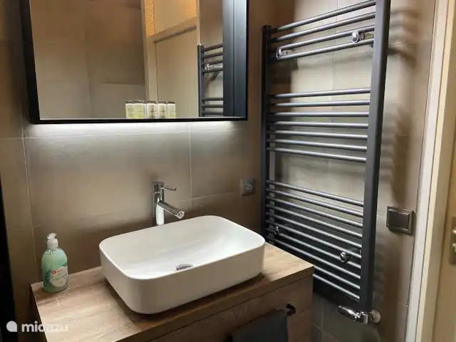 Bosboerderij de Veluwe | Pays-Bas, Gueldre, Lunteren - maison de vacances Salle de bains