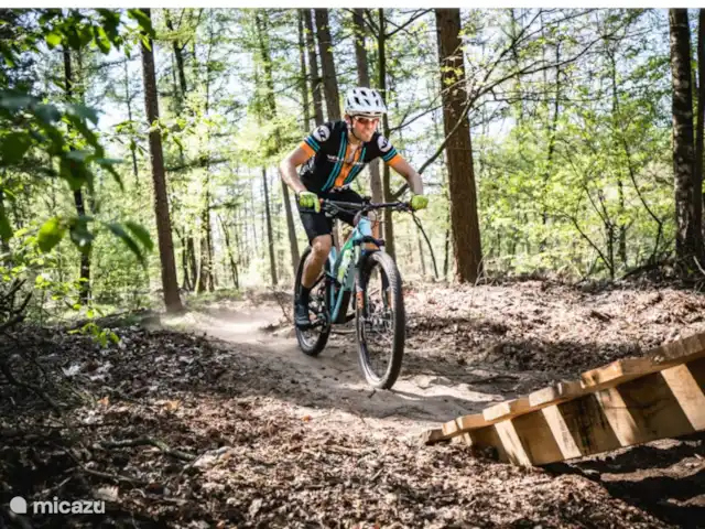 Bosboerderij de Veluwe | Pays-Bas, Gueldre, Lunteren - maison de vacances parcours VTT