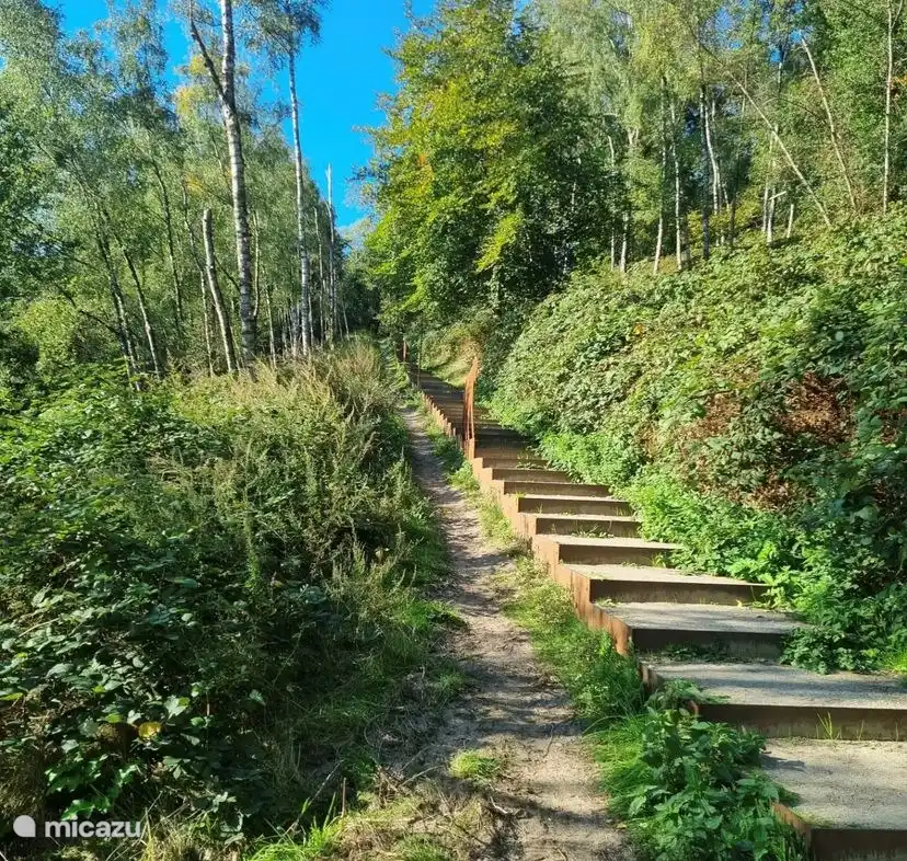 Timeline-Treppe in der Nähe des Zentrums der Niederlande