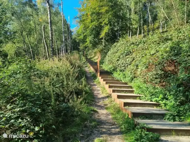 Bosboerderij de Veluwe | Pays-Bas, Gueldre, Lunteren - maison de vacances Escalier de chronologie près du centre des Pays-Bas