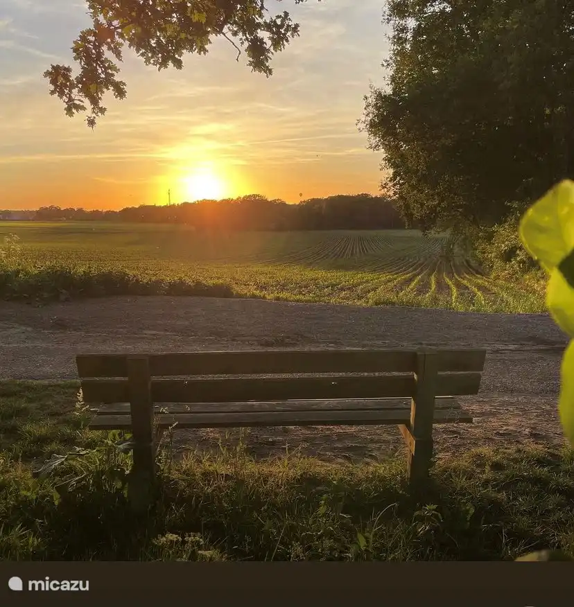 Untergehende Sonne auf dem Goudsberg