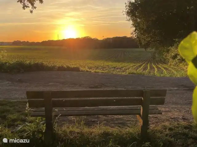 Bosboerderij de Veluwe | Pays-Bas, Gueldre, Lunteren - maison de vacances Soleil couchant sur le Goudsberg