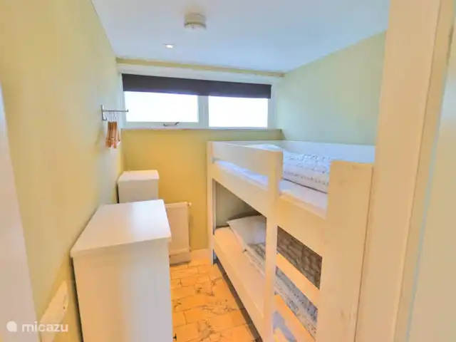 pinzón dorado en Países Bajos, Holanda del Norte, Sint Maartenszee - casa vacacional
