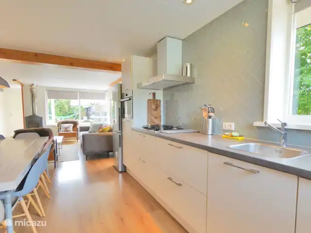 pinzón dorado en Países Bajos, Holanda del Norte, Sint Maartenszee - casa vacacional