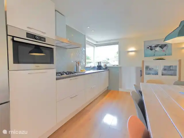 pinzón dorado en Países Bajos, Holanda del Norte, Sint Maartenszee - casa vacacional