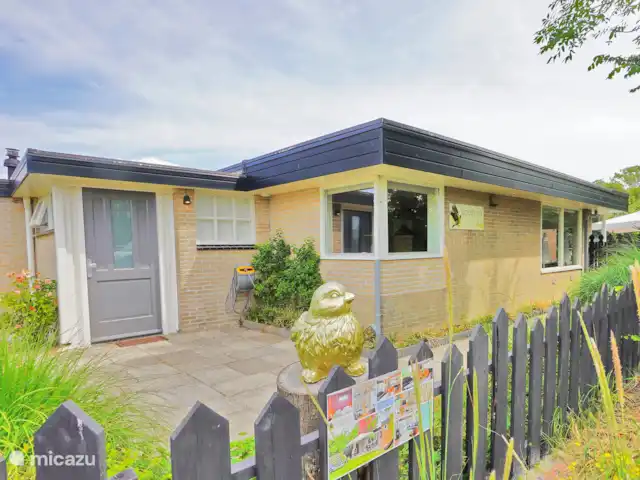 pinzón dorado en Países Bajos, Holanda del Norte, Sint Maartenszee - casa vacacional