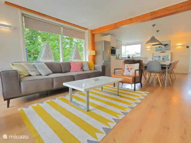 pinzón dorado en Países Bajos, Holanda del Norte, Sint Maartenszee - casa vacacional