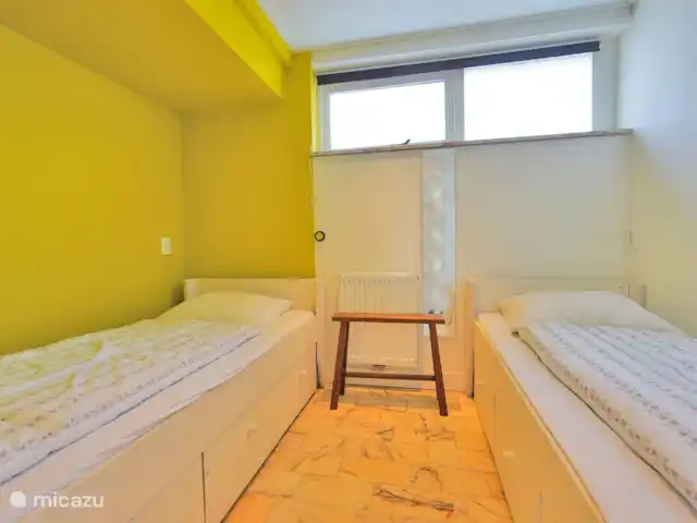 pinzón dorado en Países Bajos, Holanda del Norte, Sint Maartenszee - casa vacacional