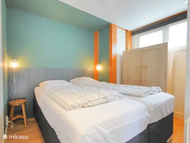 pinzón dorado en Países Bajos, Holanda del Norte, Sint Maartenszee - casa vacacional