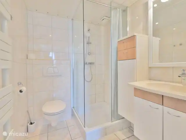 pinzón dorado en Países Bajos, Holanda del Norte, Sint Maartenszee - casa vacacional
