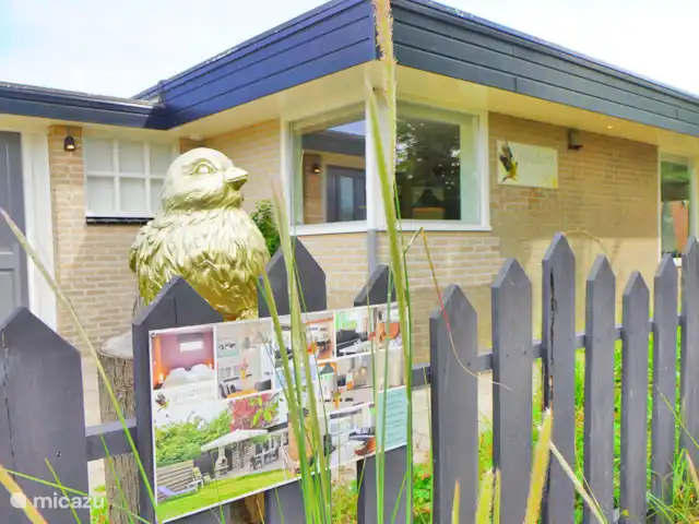 pinzón dorado en Países Bajos, Holanda del Norte, Sint Maartenszee - casa vacacional