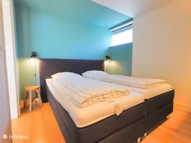 pinzón dorado en Países Bajos, Holanda del Norte, Sint Maartenszee - casa vacacional