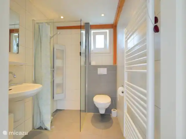 pinzón dorado en Países Bajos, Holanda del Norte, Sint Maartenszee - casa vacacional