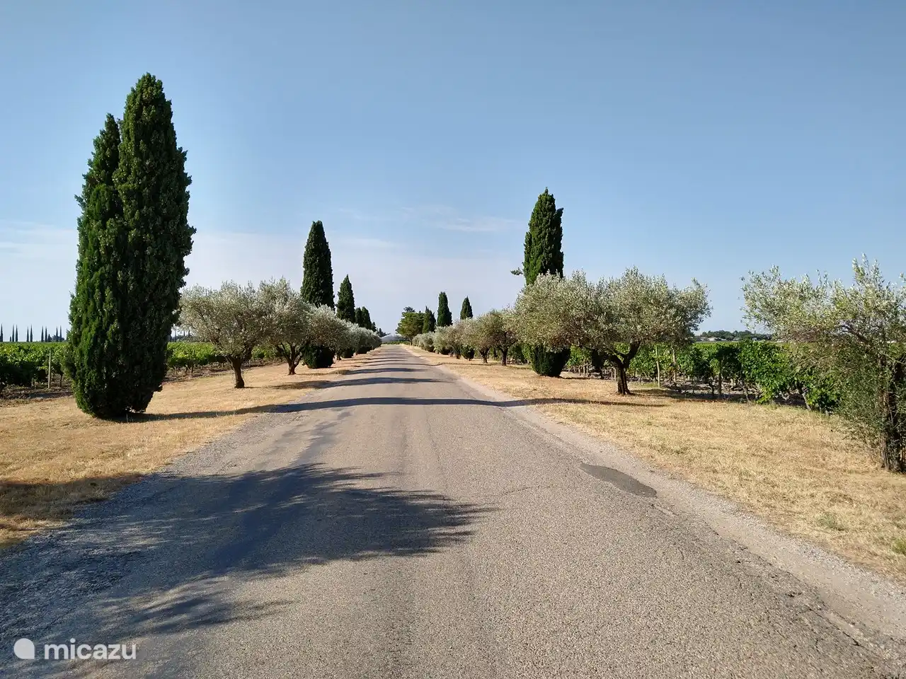 Ste. Cécile les Vignes, 5 km