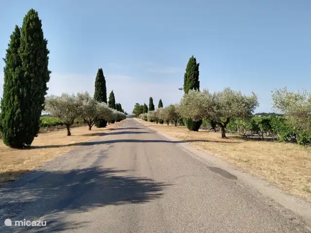 Villa Laura avec piscine privée | France, Drôme, Bouchet - maison de vacances Ste. Cécile les Vignes, 5km