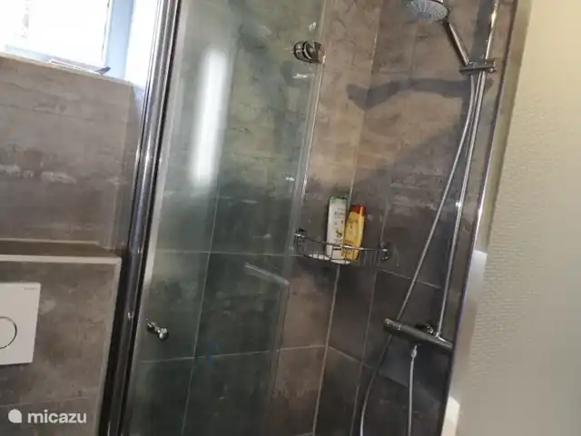 De Hazelaar, maison n° 128 | Pays-Bas, Gueldre, Ermelo - maison de vacances Salle de bain et toilettes, entièrement rénovées en 2021.