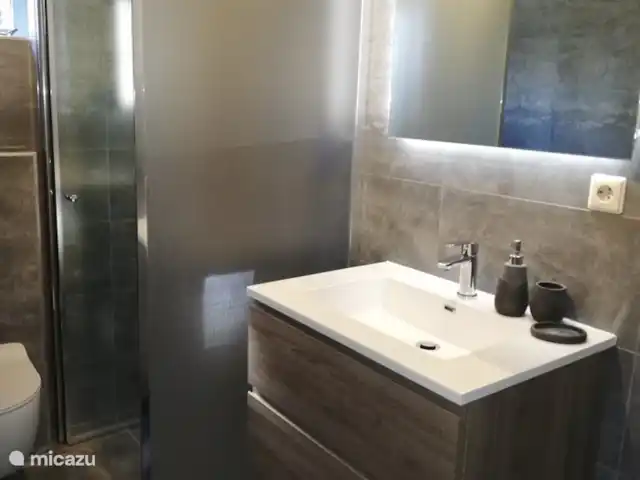 De Hazelaar, maison n° 128 | Pays-Bas, Gueldre, Ermelo - maison de vacances Salle de bain moderne complète