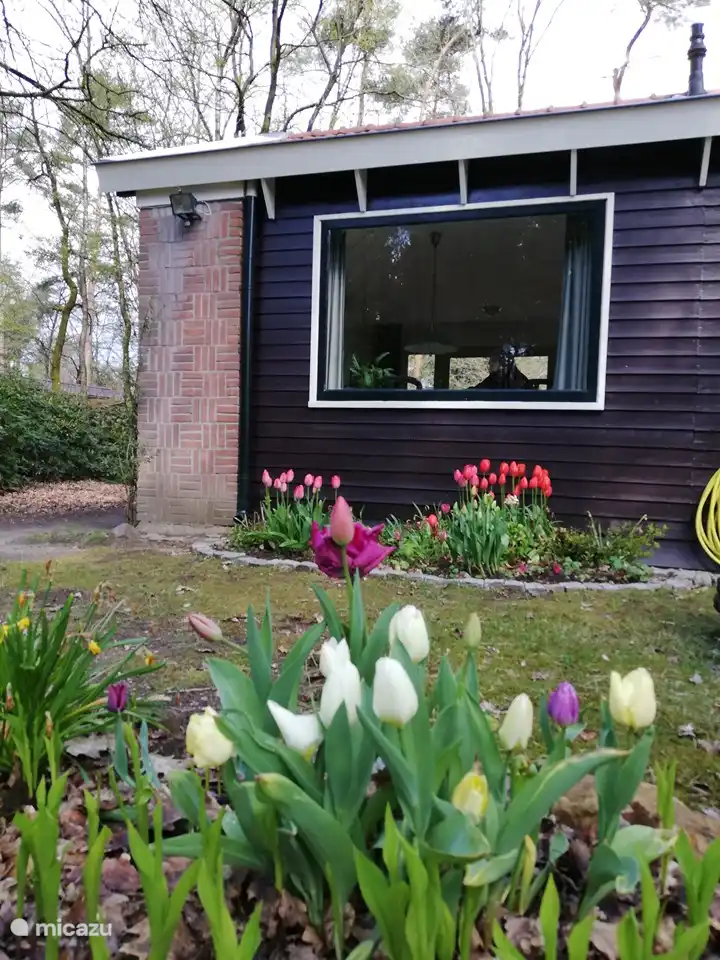 Außenwasserhahn mit Schlauch