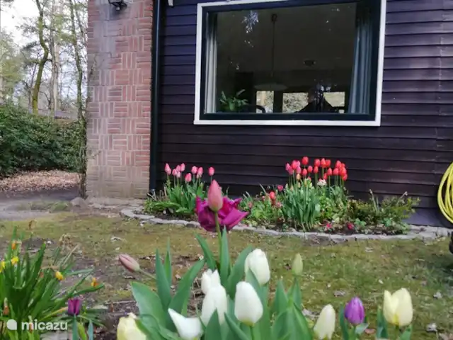 De Hazelaar, maison n° 128 | Pays-Bas, Gueldre, Ermelo - maison de vacances Robinet extérieur avec tuyau