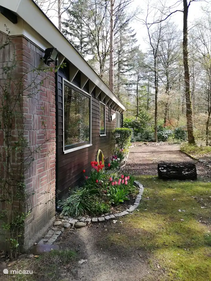 Vorne, Sonnenseite am Morgen