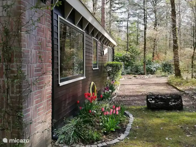 De Hazelaar, maison n° 128 | Pays-Bas, Gueldre, Ermelo - maison de vacances Façade, côté ensoleillé le matin