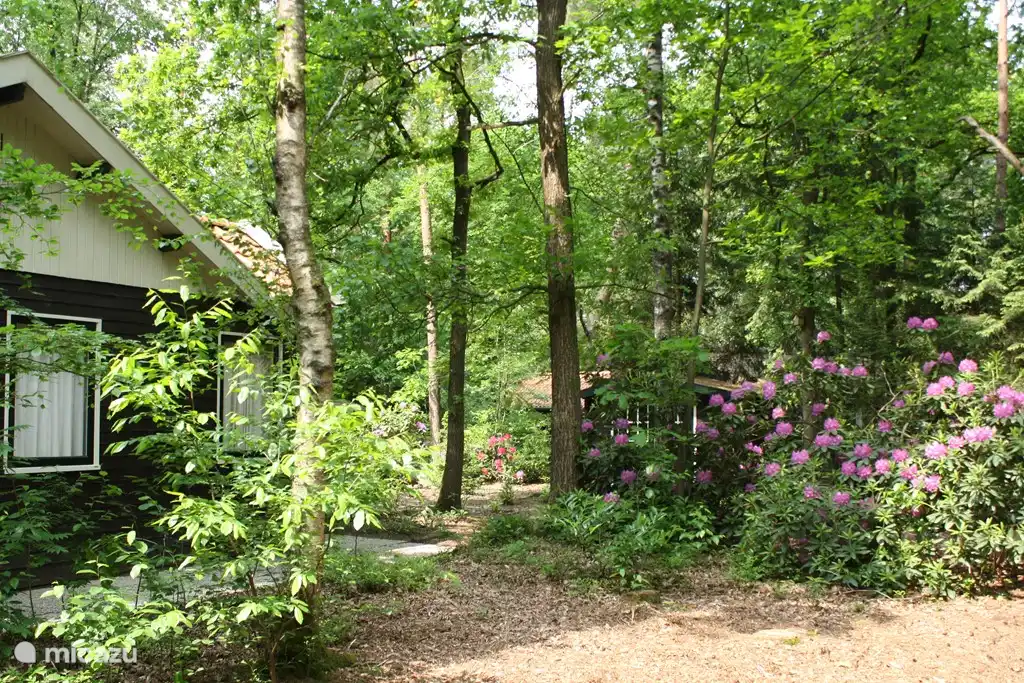 Nebenhaus mit Schuppen. Völlig freistehend, auf 1000m2 Grundstück.