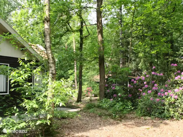 De Hazelaar, maison n° 128 | Pays-Bas, Gueldre, Ermelo - maison de vacances côté maison avec cabanon. Entièrement indépendant, sur un terrain de 1000m2
.