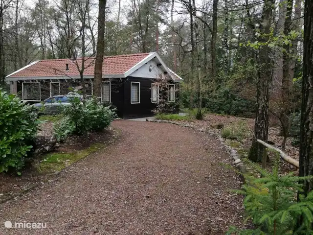 De Hazelaar, maison n° 128 | Pays-Bas, Gueldre, Ermelo - maison de vacances Espace de stationnement suffisant dans votre propre allée