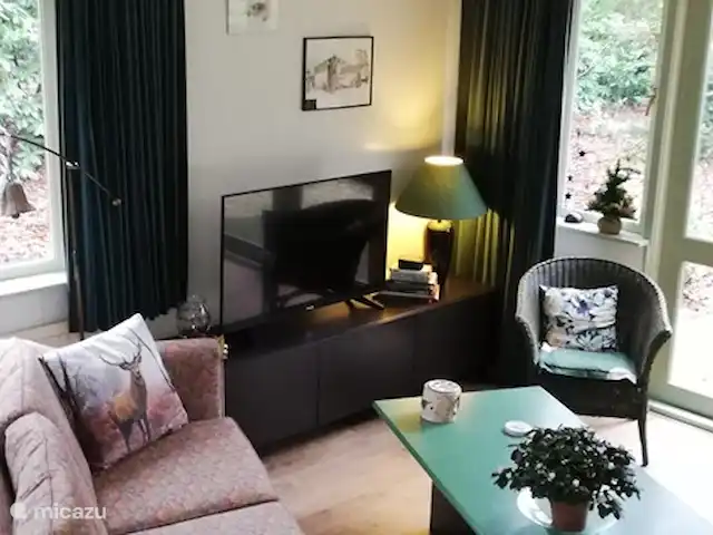 De Hazelaar, maison n° 128 | Pays-Bas, Gueldre, Ermelo - maison de vacances Télévision à écran plat moderne