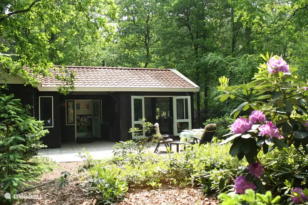 sonnige hintere Terrasse, Zugang vom Zimmer. Gartenmöbel im Schuppen, auch 2 Sonnenliegen.