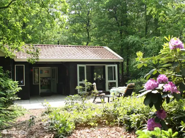 De Hazelaar, maison n° 128 | Pays-Bas, Gueldre, Ermelo - maison de vacances terrasse ensoleillée à l'arrière, accès de la chambre. Abri de jardin, également 2 transats.