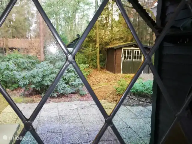 De Hazelaar, maison n° 128 | Pays-Bas, Gueldre, Ermelo - maison de vacances Salon de jardin dans cabanon, ainsi que 2 vélos. Barbecue et plancha électrique