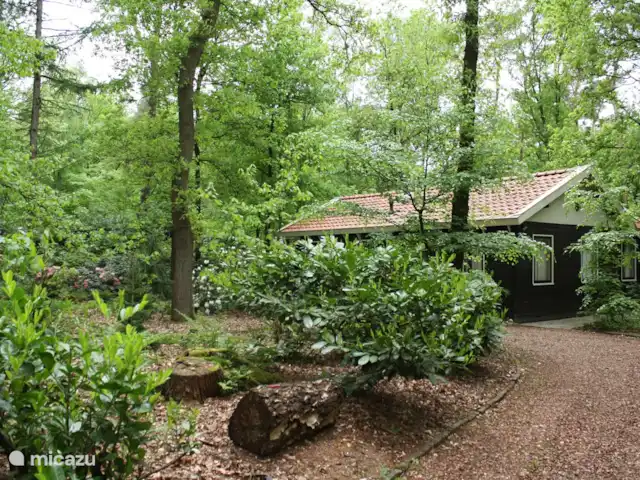 De Hazelaar, maison n° 128 | Pays-Bas, Gueldre, Ermelo - maison de vacances allée où 4 voitures peuvent être garées