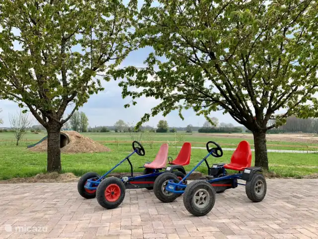 Granja de vacaciones De Steeg en Países Bajos, Güeldres, De Steeg - casa de campo Hay varios karts en la parte que pueden ser utilizados por los niños. También tenemos un tractor de pedales y algunos pequeños equipos de juego.