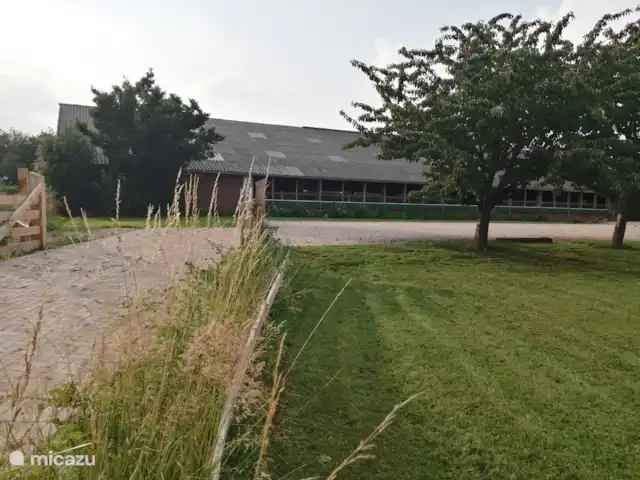 Granja de vacaciones De Steeg en Países Bajos, Güeldres, De Steeg - casa de campo El camino de entrada de la granja de vacaciones. Con posibilidad de aparcar los coches frente al establo.