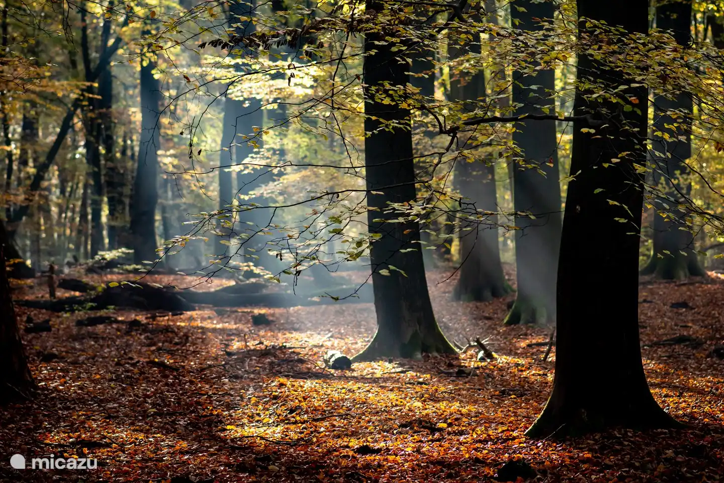 Die Posbank ist eine 10-minütige Radtour vom Bauernhaus entfernt.