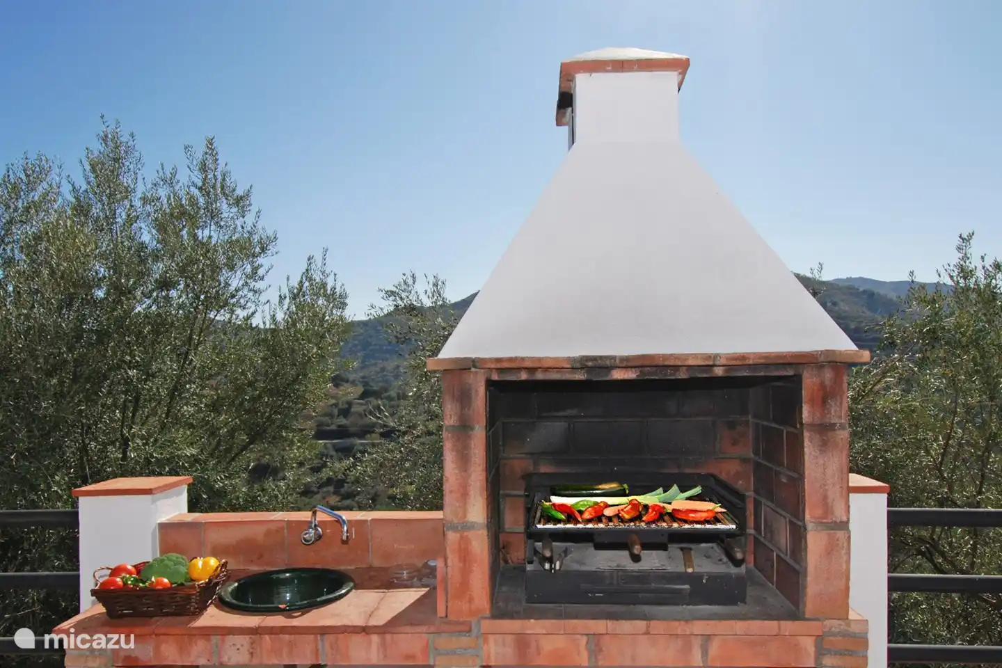 Kochen auf dem Grill mit frischen Campo-Zutaten!