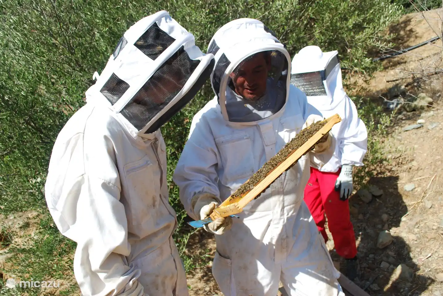Bei Kalyvitis stellen wir Olivenöl, Ziegenkäse, Wein und Honig her. Alles im Kleinen, aber mit viel Sorgfalt.