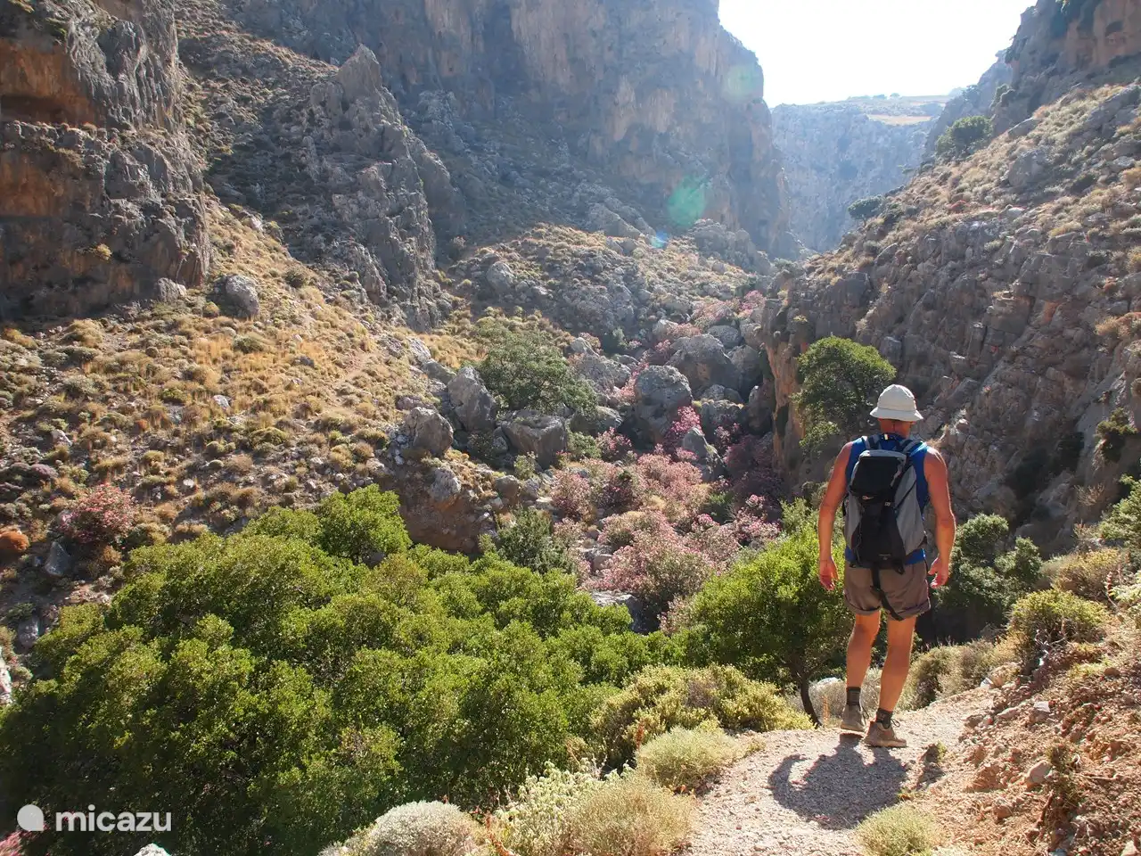 In der Umgebung haben Sie die schönsten Wanderwege in unberührter Natur.