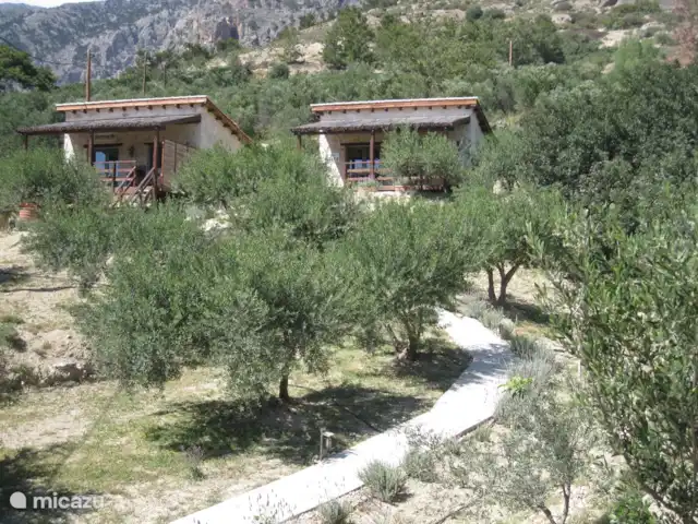 Location de Vacances Grèce, Crète, Koutsouras, gîte / cottage - Kalyvitis Cottage dans l’oliveraie 2 Dans notre oliveraie, il y a deux chalets dans la nature, les chalets Koroneiki et Adami