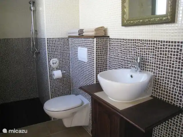 Location de Vacances Grèce, Crète, Koutsouras, gîte / cottage - Kalyvitis Cottage dans l’oliveraie 2 La salle de bain dispose d’une douche spacieuse, de toilettes et d’un lavabo.