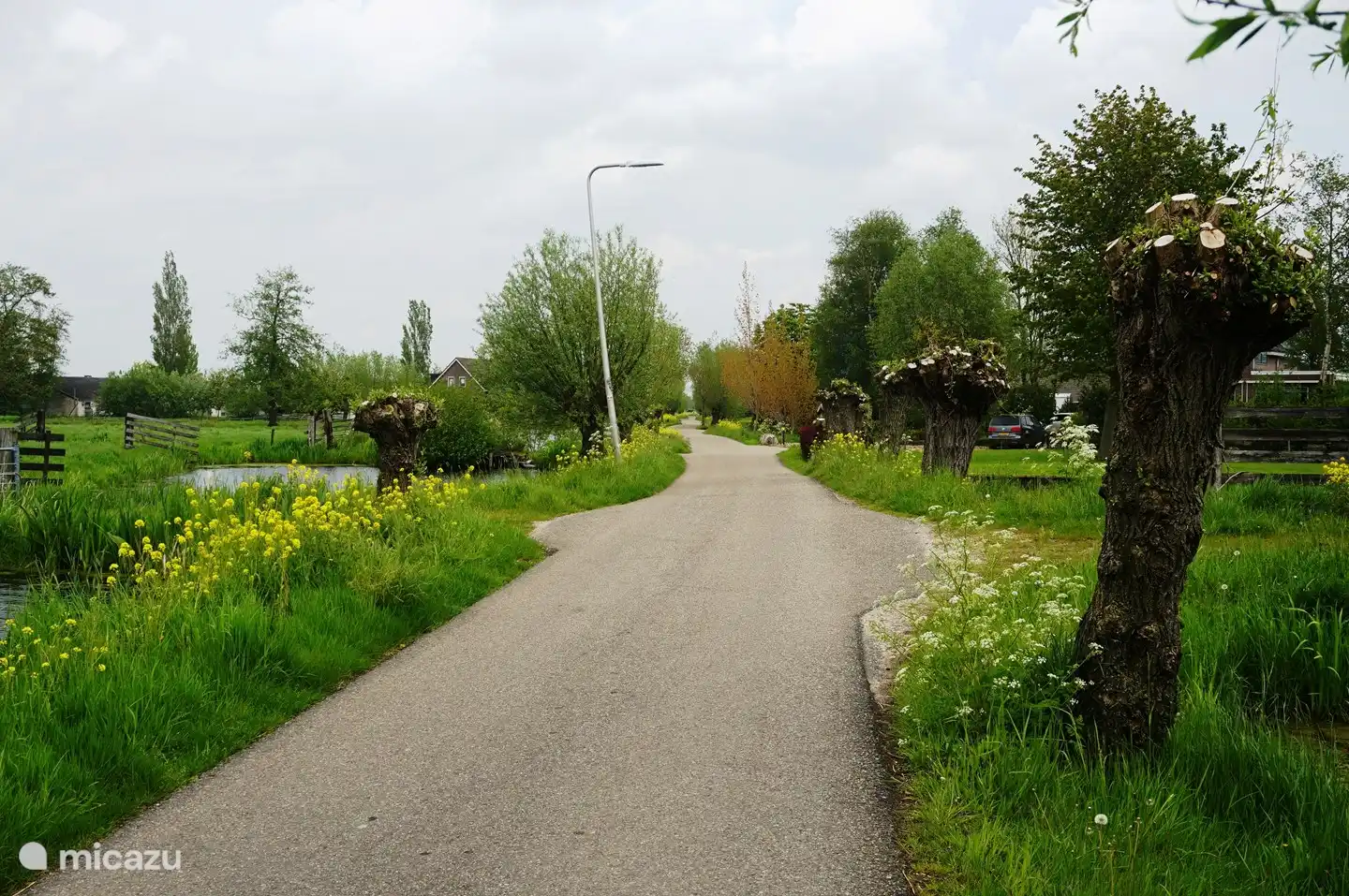 De weg waar het huisje aan staat.