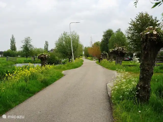 Studio Coeur Vert | Pays-Bas, Utrecht, Papekop - studio La route où se trouve la maison.