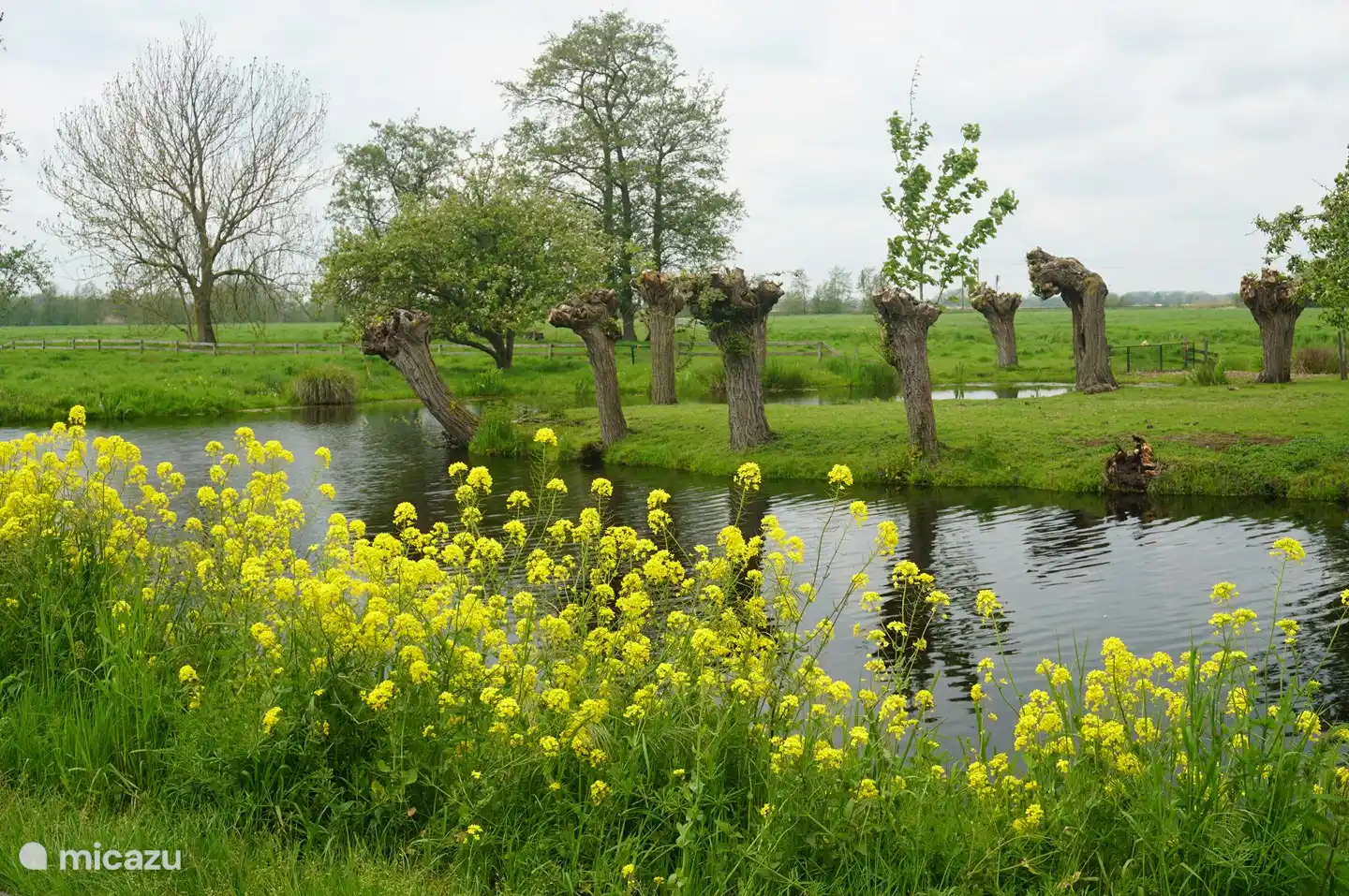 De weg waar het huisje aan staat.