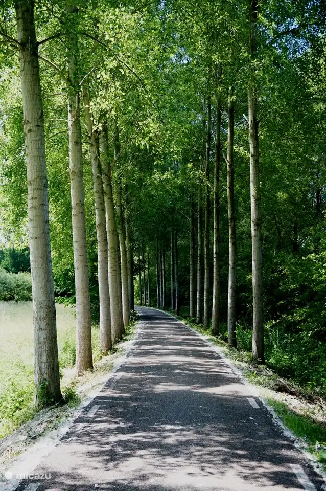 Linschoten, lekker fietsen. 
