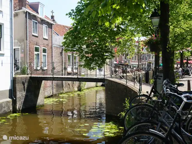 Studio Coeur Vert | Pays-Bas, Utrecht, Papekop - studio Pont à Oudewater