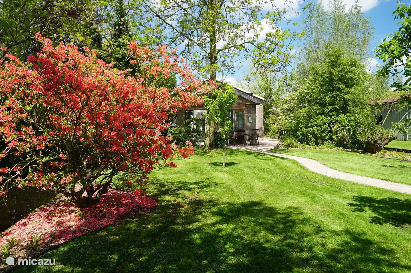 Groener wordt het niet. 